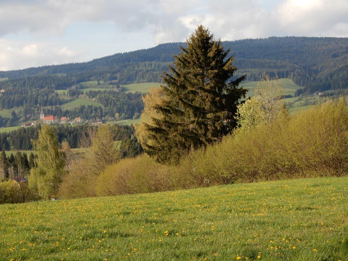 Ferienhaus Grohs Neumarkt in Steiermark Exteriér fotografie